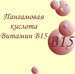 Opće informacije o vitaminu B15