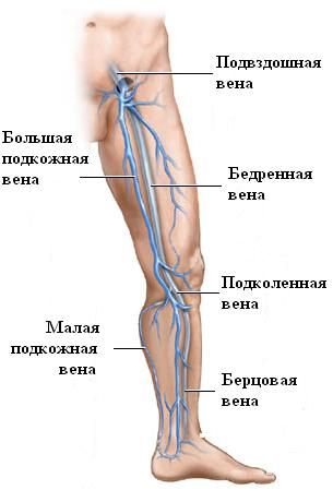 zajednički metatarzalne boli noga
