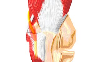 karpalna artroza liječenja zgloba