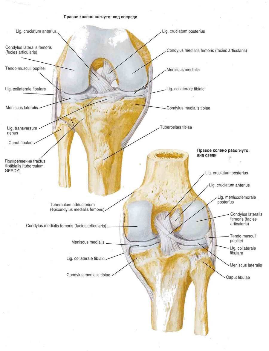 bol u koljenastom bursitis