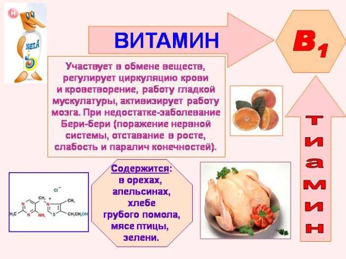 Svojstva vitamina B1
