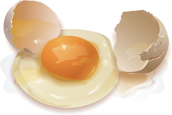 djelovanje prehrane jaja