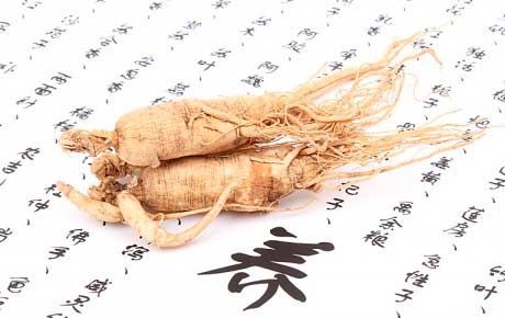 Ginseng tijekom trudnoće